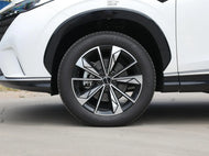 ROEWE ERX5  | More Versions Available（Used）