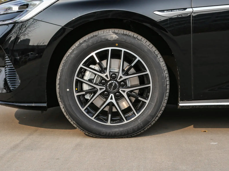 BYD HAIBAO DM  | More Versions Available（Used）