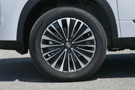 CHERY TANSUO 06 C-DM  | More Versions Available（Used）