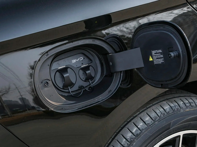 BYD HAIBAO DM  | More Versions Available（Used）