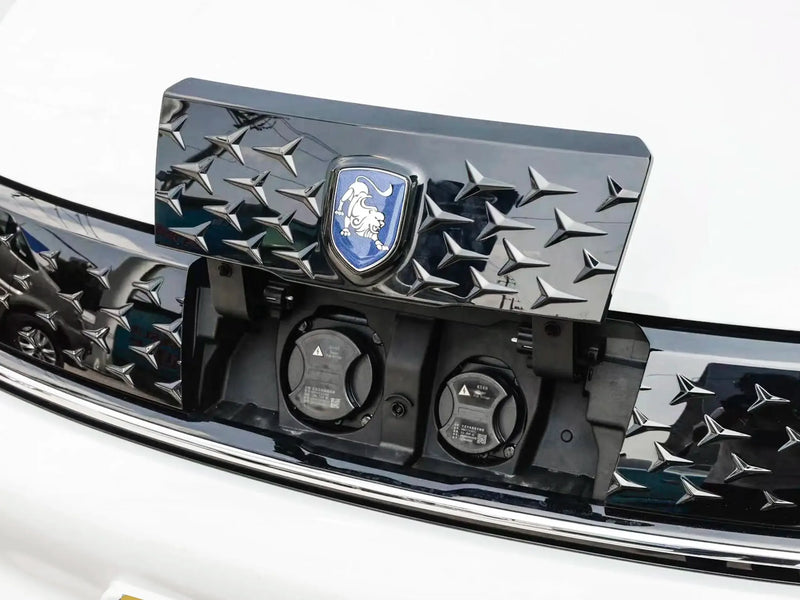 FORTHING S60EV  | More Versions Available（Used）