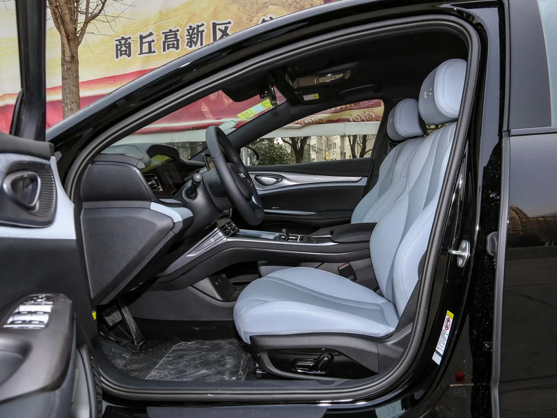 BYD HAIBAO DM  | More Versions Available（Used）