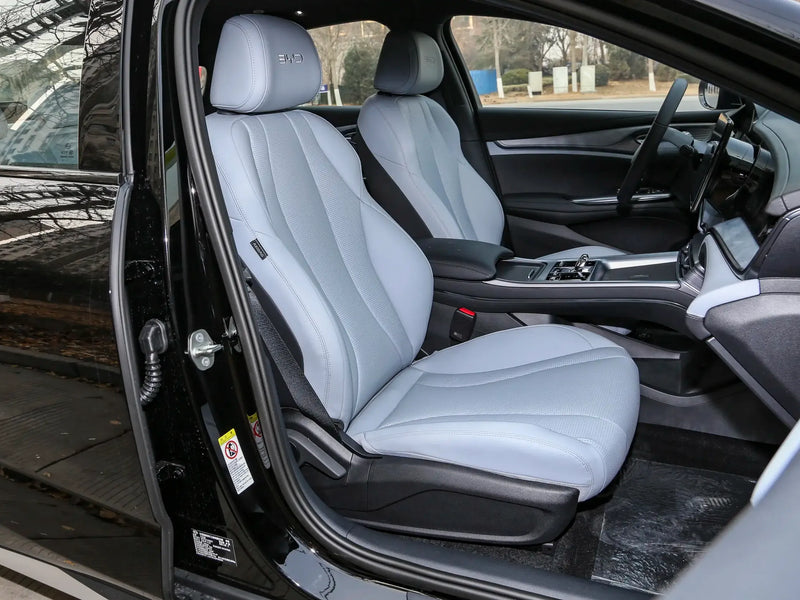BYD HAIBAO DM  | More Versions Available（Used）