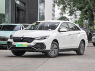 VENUCIA D60 EV  | More Versions Available（Used）