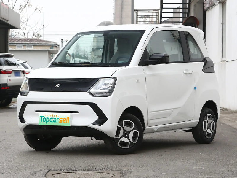 DONGFENG FENCON MINI EV  | More Versions Available（Used）