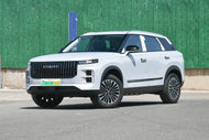 CHERY TANSUO 06 C-DM  | More Versions Available（Used）