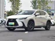 LEXUS NX PHEV | More Versions Available（Used）