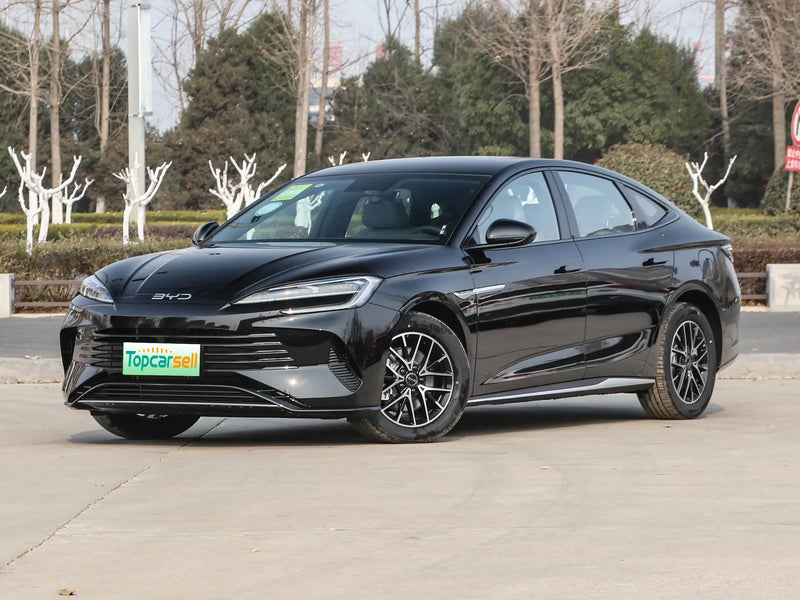 BYD HAIBAO DM  | More Versions Available（Used）