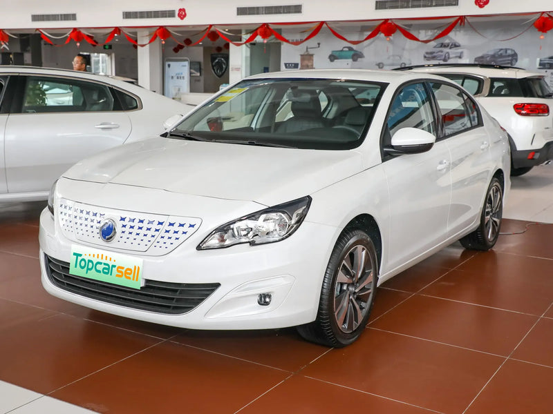 DONGFENG FUKANG ES600 | More Versions Available（Used）