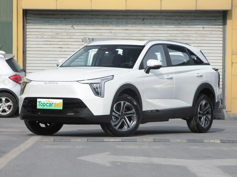 HAVAL XIAOLONG | More Versions Available（Used）