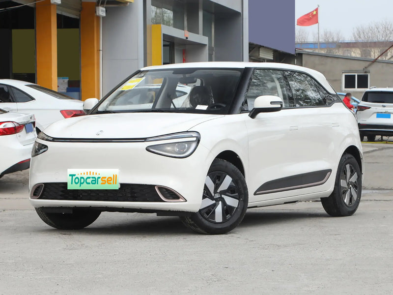 DONGFENG NAMMI 01   | More Versions Available（Used）