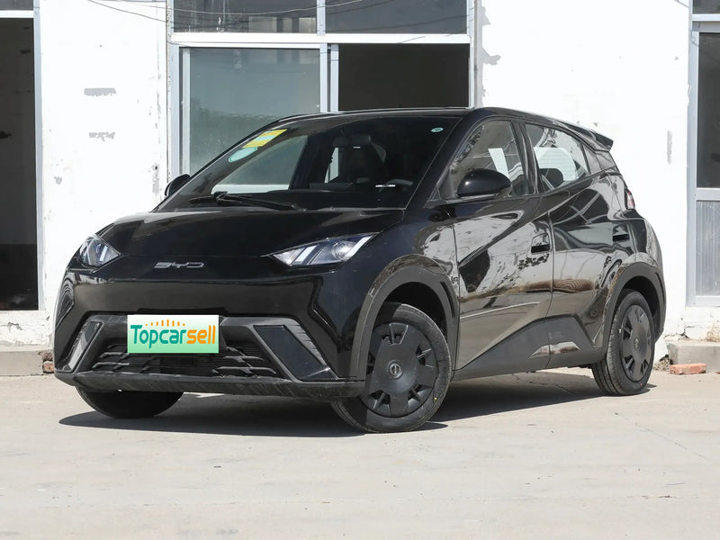 BYD HaiOu  | More Versions Available（Used）