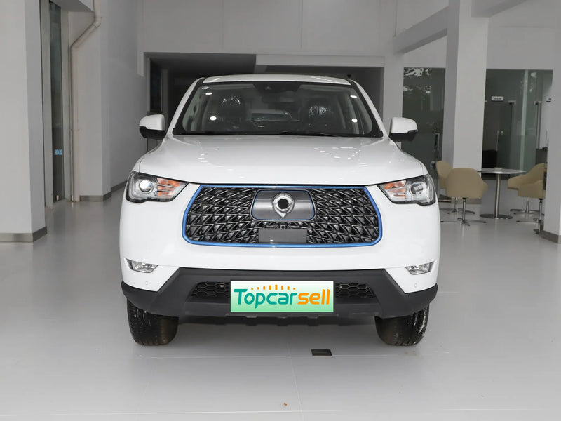 GWM POER EV  | More Versions Available（Used）
