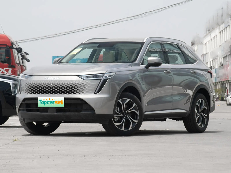 HAVAL XIAOLONG MAX  | More Versions Available（Used）