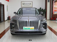 HONGQI E-HS9  | More Versions Available（Used）