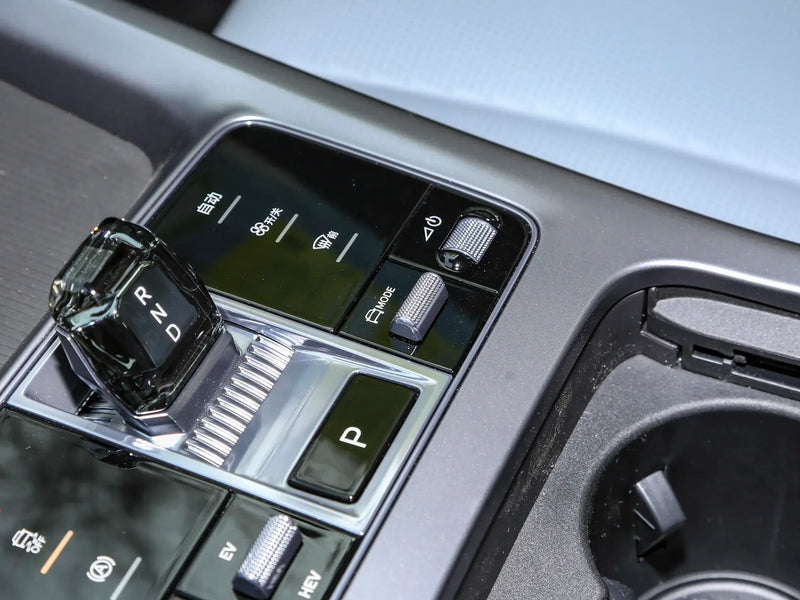 BYD HAIBAO DM  | More Versions Available（Used）