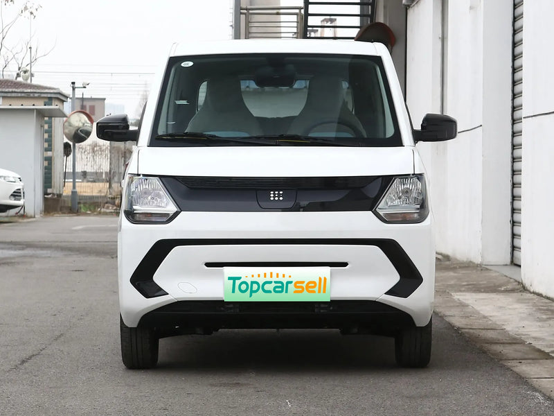 DONGFENG FENCON MINI EV  | More Versions Available（Used）