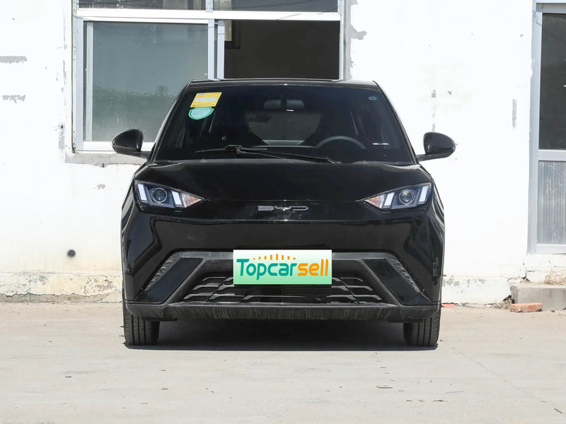 BYD HaiOu  | More Versions Available（Used）