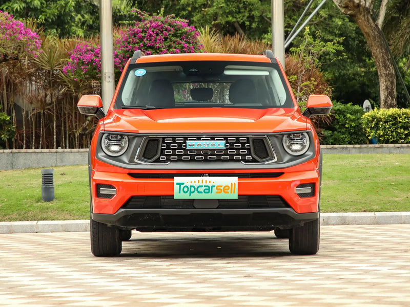 HAVAL ERDAI DAGOU PHEV  | More Versions Available（Used）