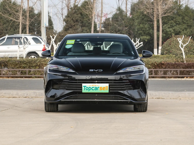 BYD HAIBAO DM  | More Versions Available（Used）