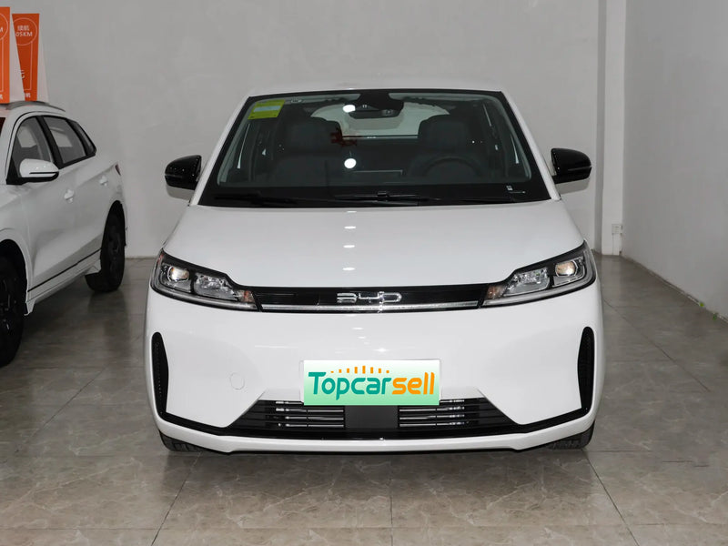 BYD  D1  | More Versions Available（Used）