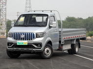 CHANGAN KAICHENG SHENQI T30 EV  | More Versions Available（Used）