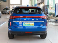 HAVAL H6 PHEV  | More Versions Available（Used）