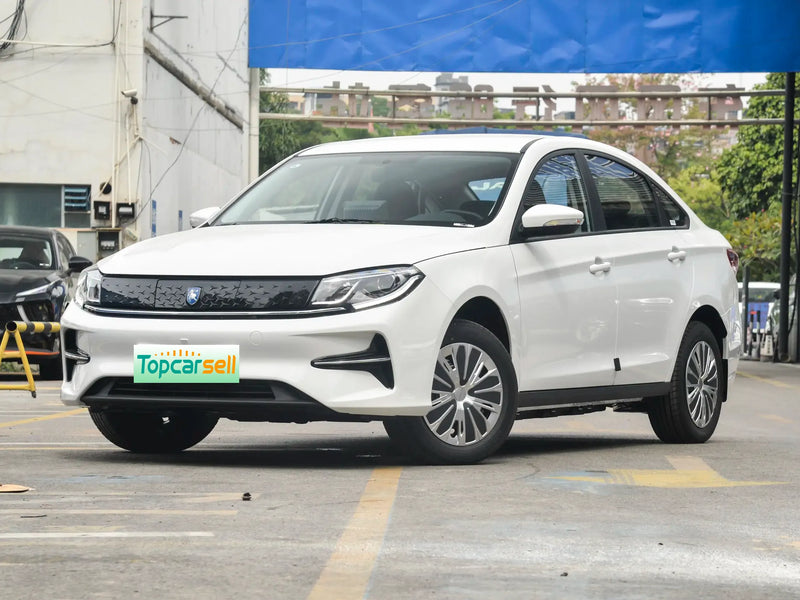 FORTHING S60EV  | More Versions Available（Used）