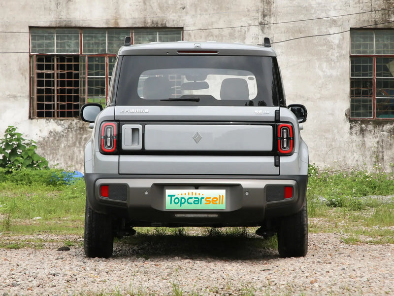 BAOJUN YUEYE PLUS | More Versions Available（Used）