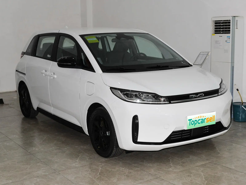 BYD  D1  | More Versions Available（Used）