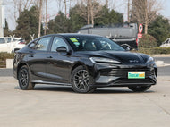 BYD HAIBAO DM  | More Versions Available（Used）