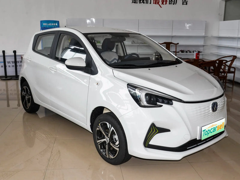 CHANGAN OUSHANG BENBEN E-STAR  | More Versions Available（Used）