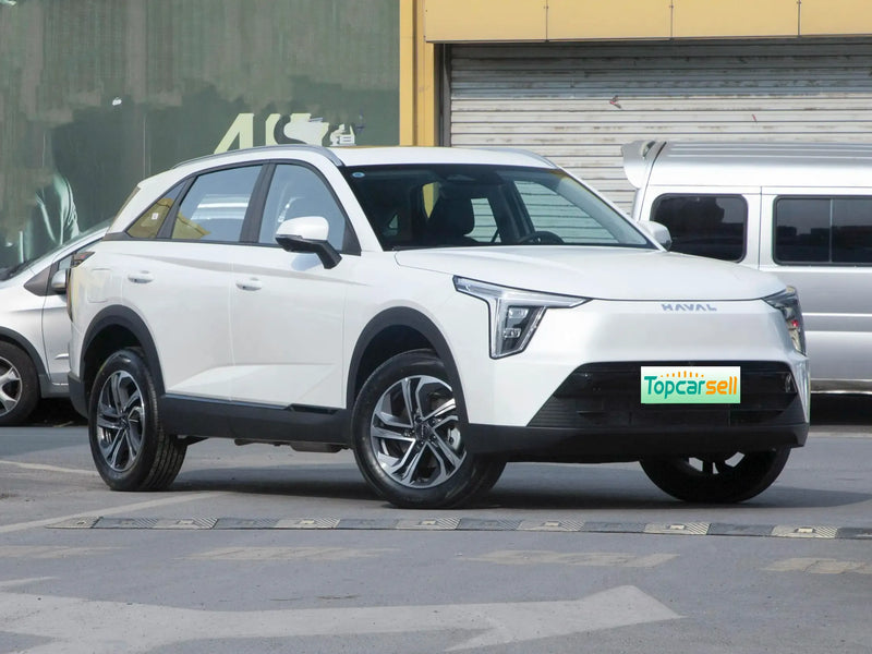 HAVAL XIAOLONG | More Versions Available（Used）