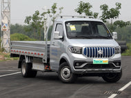 CHANGAN KAICHENG SHENQI T30 EV  | More Versions Available（Used）
