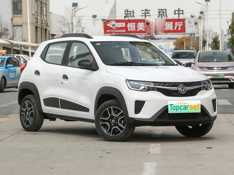 DONGFENG NAMMI EX1 | More Versions Available（Used）