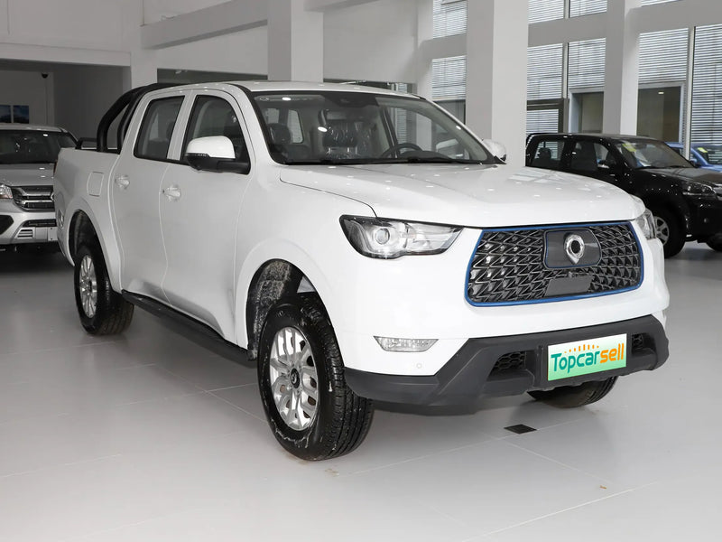 GWM POER EV  | More Versions Available（Used）