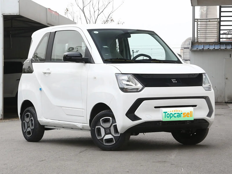 DONGFENG FENCON MINI EV  | More Versions Available（Used）