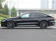 BYD HAN DM  | More Versions Available（Used）