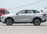 HAVAL XIAOLONG MAX  | More Versions Available（Used）