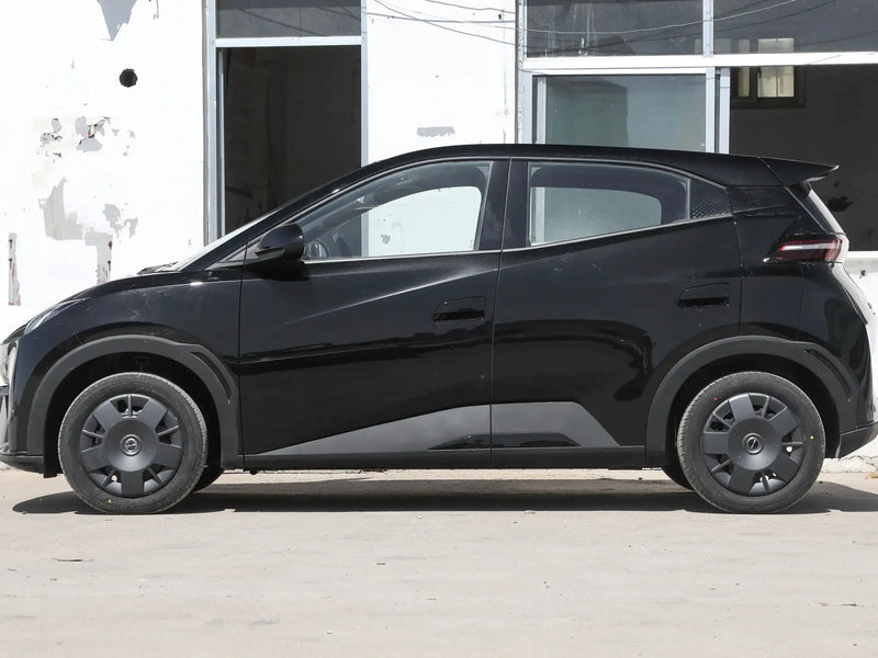 BYD HaiOu  | More Versions Available（Used）