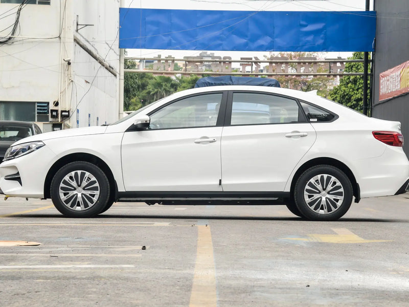 FORTHING S60EV  | More Versions Available（Used）