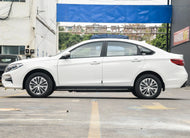 FORTHING S60EV  | More Versions Available（Used）