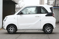 DONGFENG FENCON MINI EV  | More Versions Available（Used）