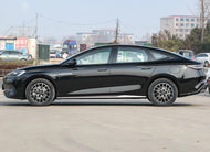 BYD HAIBAO DM  | More Versions Available（Used）