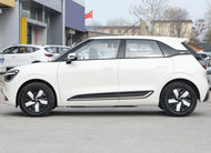 DONGFENG NAMMI 01   | More Versions Available（Used）