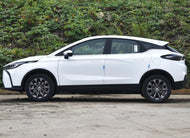 GEELY GEOMETRY M6  | More Versions Available（Used）