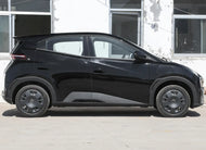 BYD HaiOu  | More Versions Available（Used）