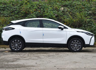 GEELY GEOMETRY M6  | More Versions Available（Used）