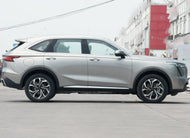 HAVAL XIAOLONG MAX  | More Versions Available（Used）