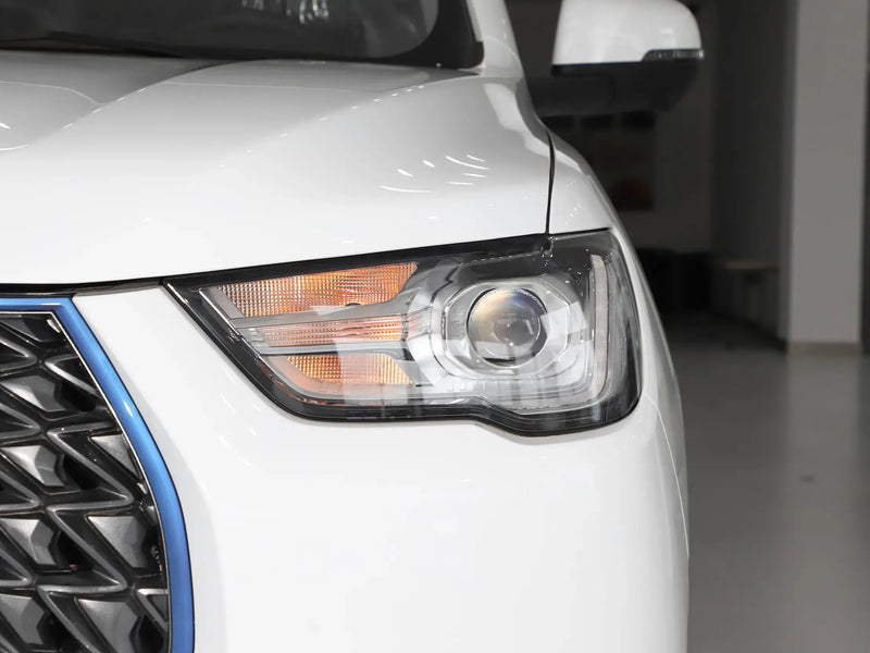 GWM POER EV  | More Versions Available（Used）